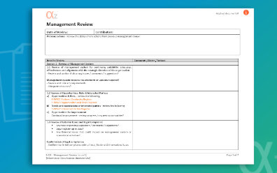 Management Review Template